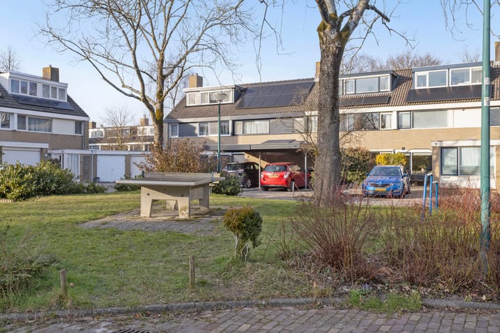 Foto 20 van Vlasland 41