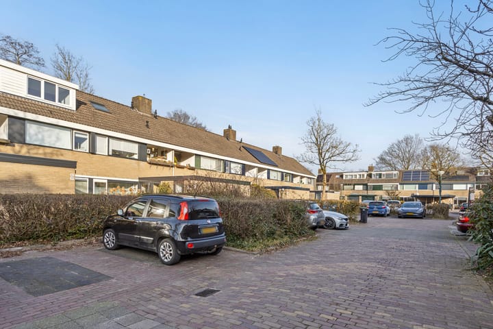 Foto 21 van Vlasland 41