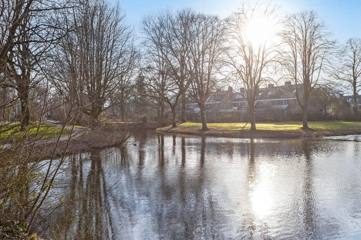 Foto 22 van Vlasland 41