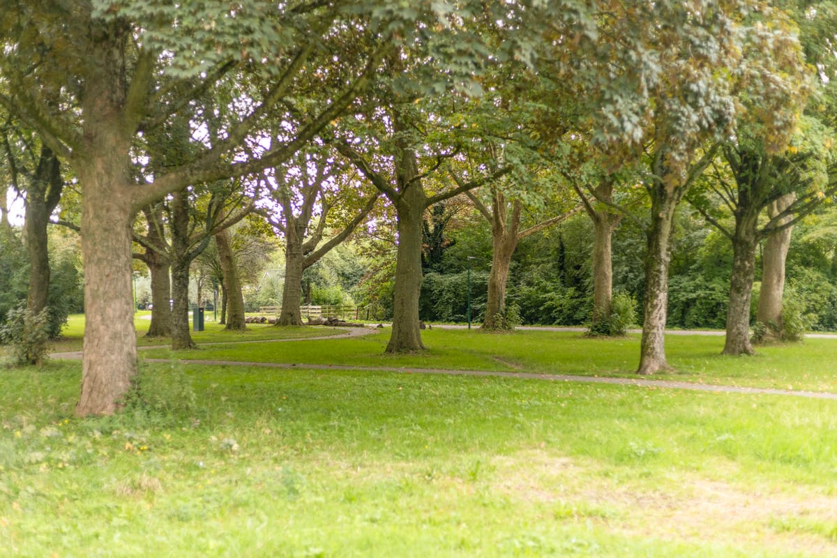 Foto 39 van Hof van Wijk 10