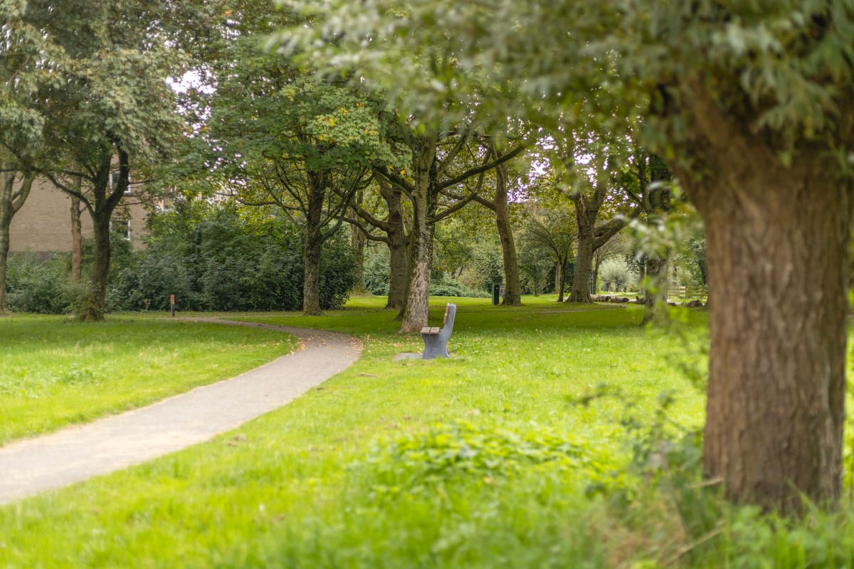 Foto 40 van Hof van Wijk 10