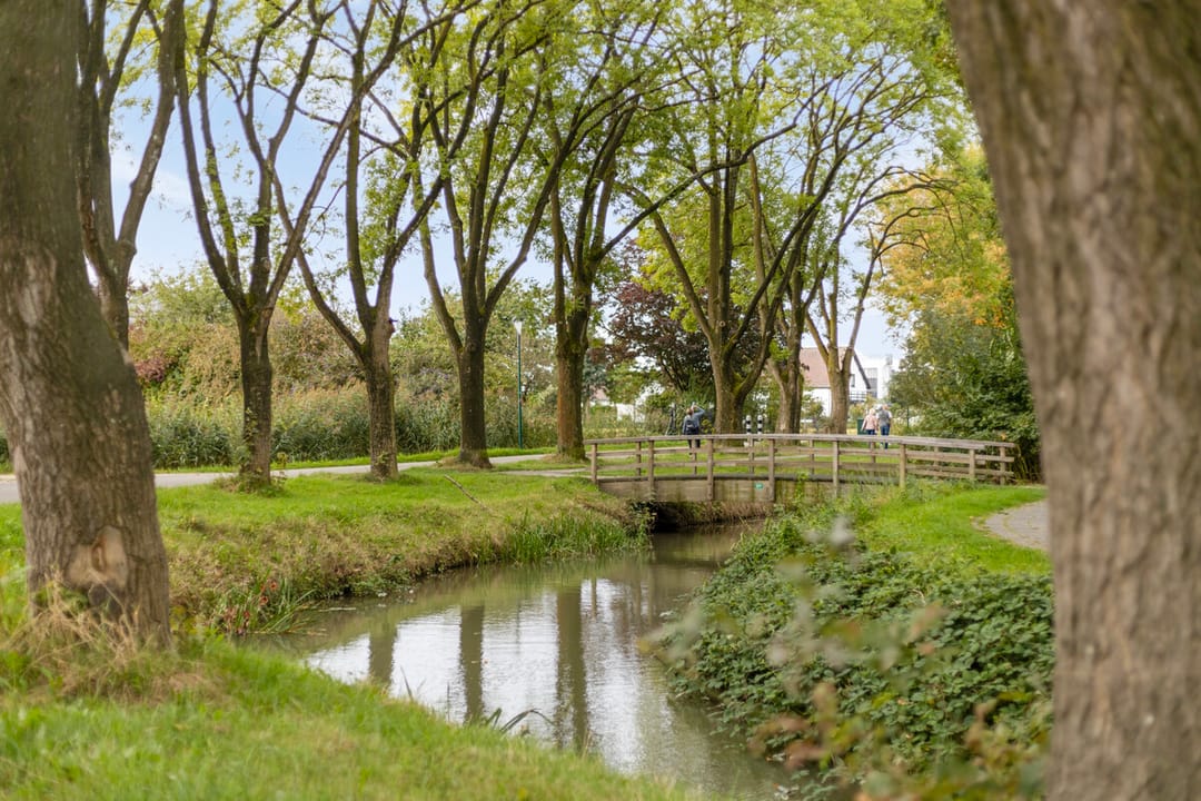 Foto 41 van Hof van Wijk 10