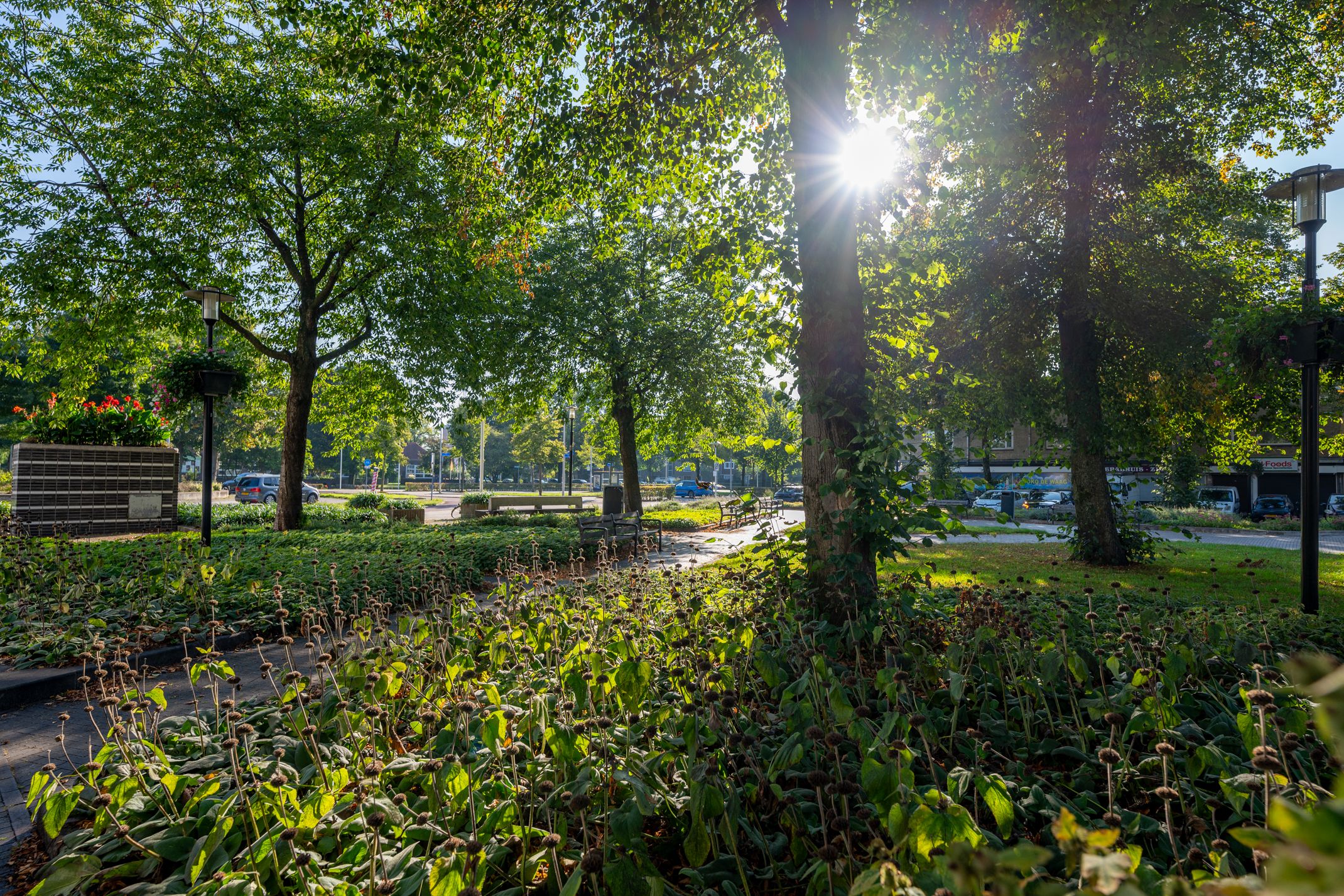 Foto 42 van Plesmanlaan 72-1