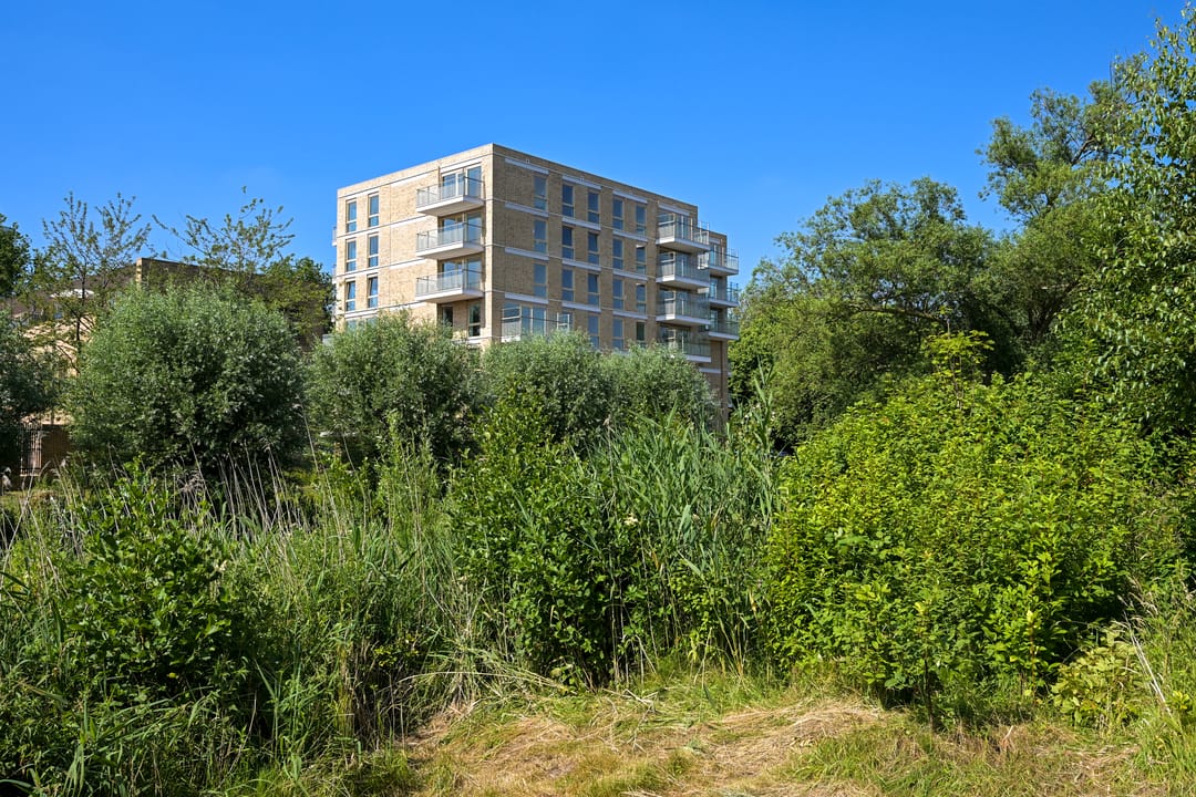 Foto 17 van Boekweitkamp 137