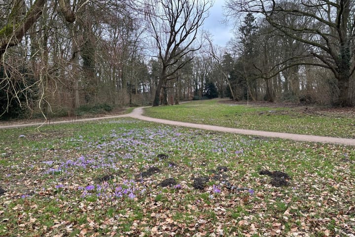 Foto 22 van Boxbergerweg 184