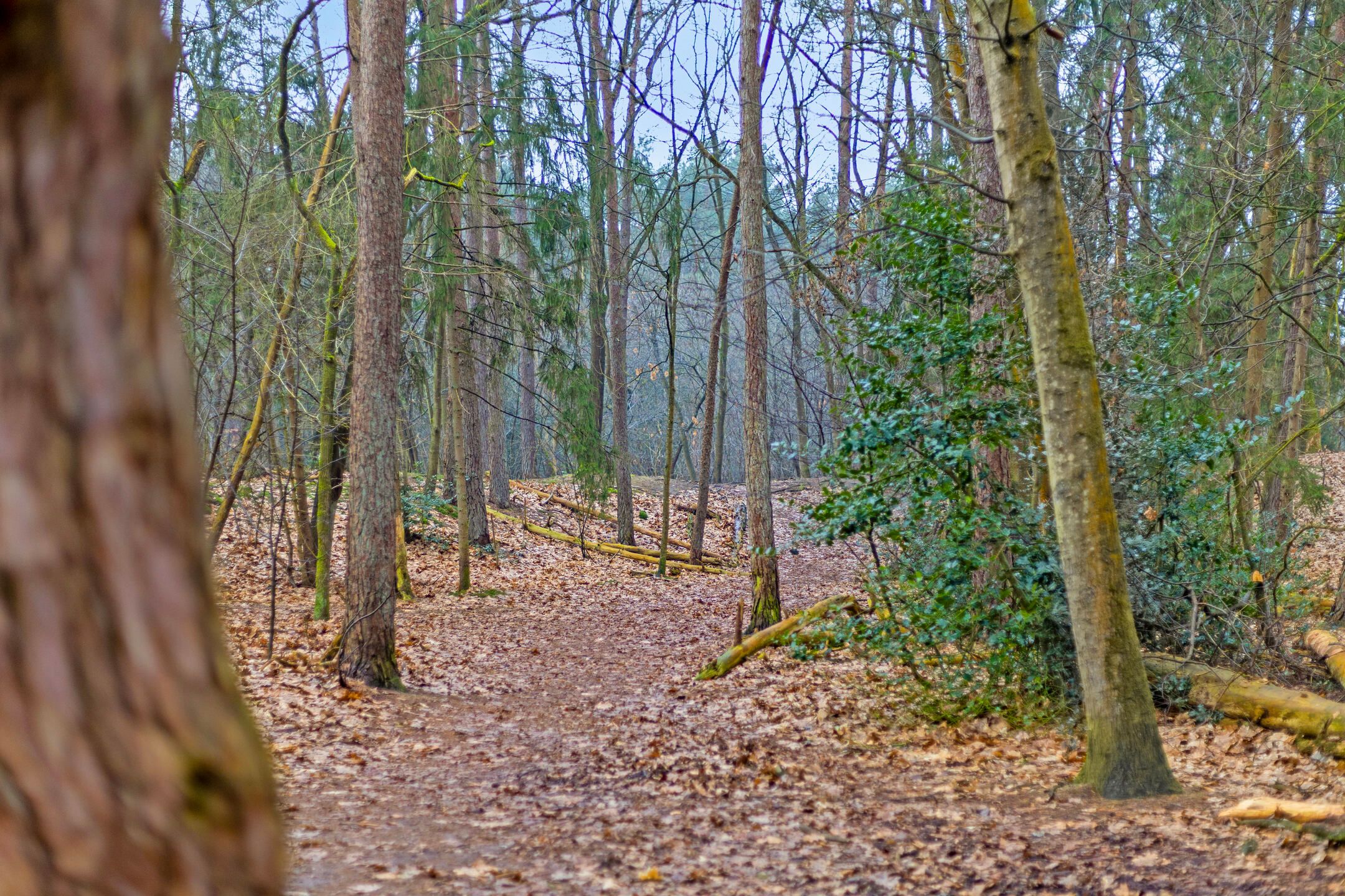 Photo 24 of Kapelweg 7