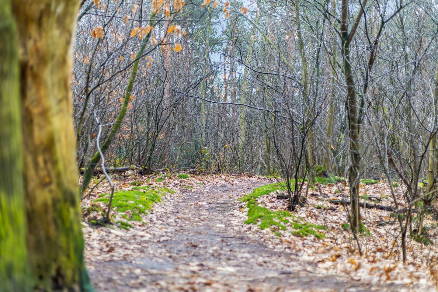 Photo 25 of Kapelweg 7
