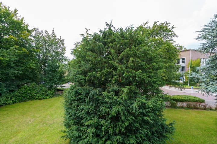 Foto 14 van Middenlaan 25