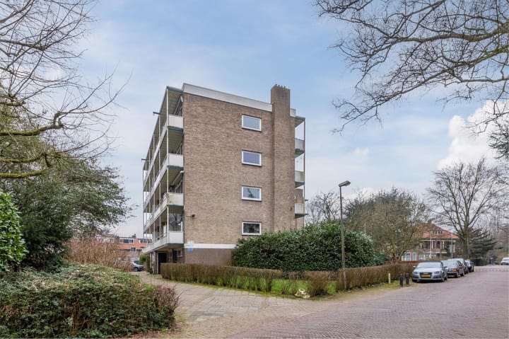 Foto 55 van Middenlaan 25