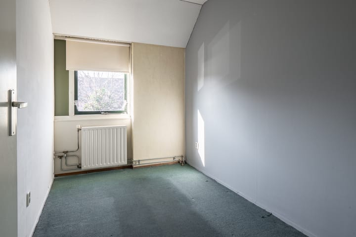 Foto 21 van Bornerbroeksestraat 231