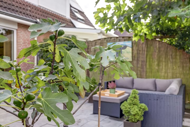 Foto 42 van De Casembrootstraat 5