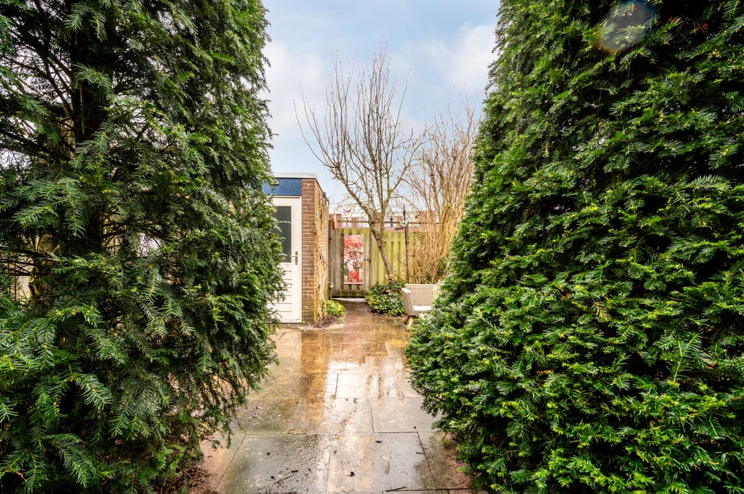 Foto 32 van Kornwierde 116