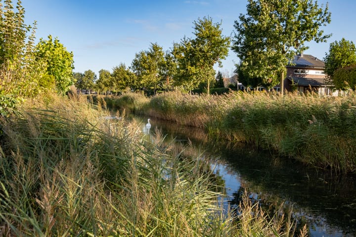 Foto 51 van De Rijd 154