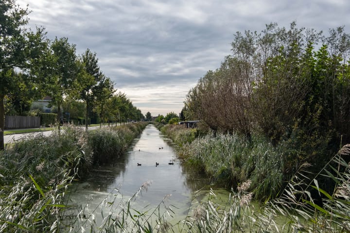 Foto 57 van De Rijd 154