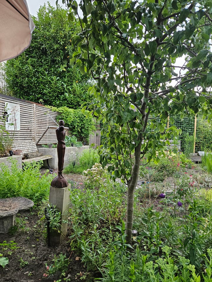 Foto 20 van Koningin Wilhelminalaan 35