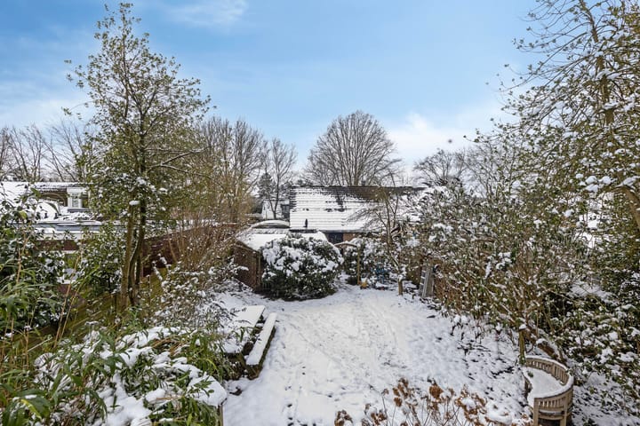 Foto 26 van Goldakkers 19