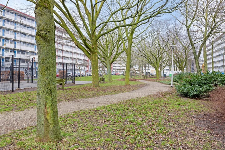Foto 2 van Jacques Urlusplantsoen 120