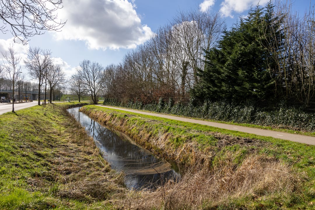 Photo 37 of Koningin Wilhelminaweg 501