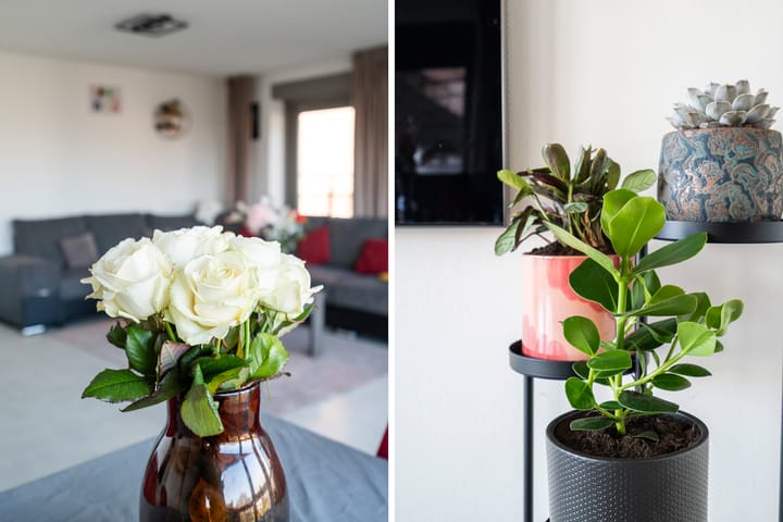 Foto 7 van Nieuwe Damlaan 832