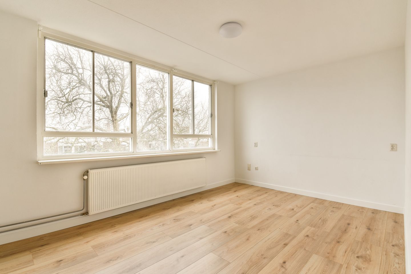 Foto 4 van Borgerstraat 29-E