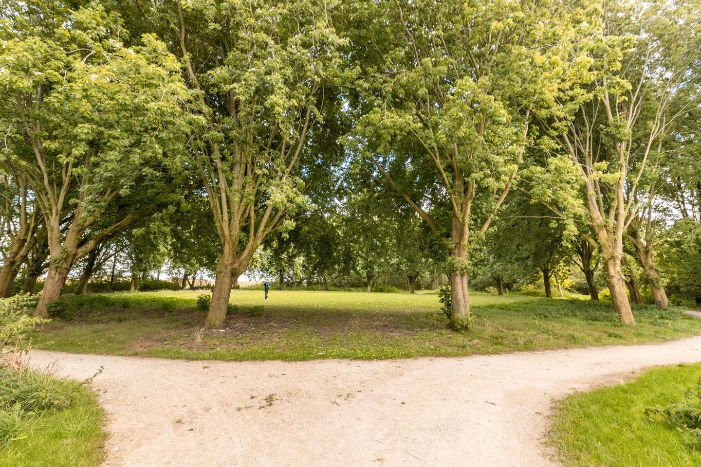 Foto 40 van Laan Eindeloos 8