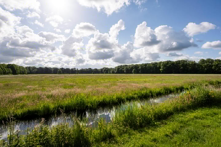 Photo 18 of Leeuwenlaan 8