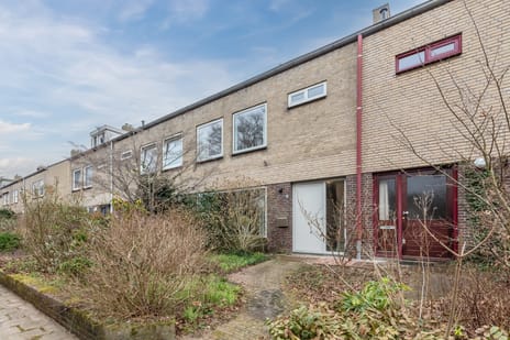 undefined main image