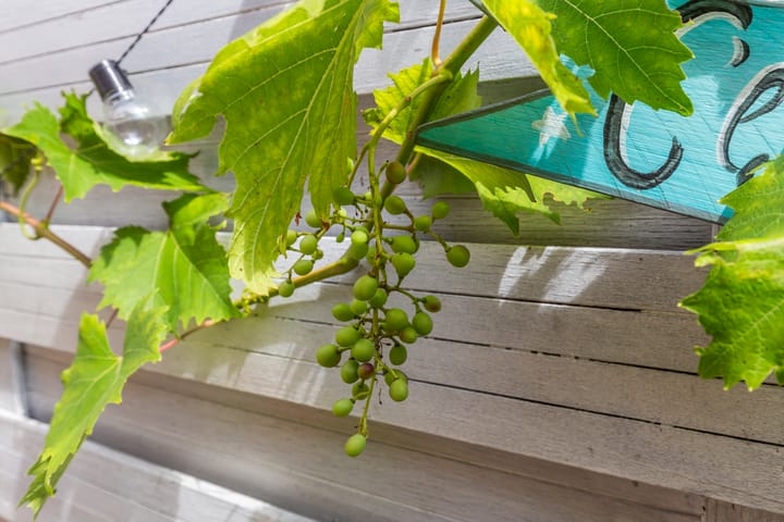 Foto 12 van Los Angelesstraat 40