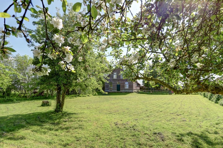 Foto 29 van Zijldijk 10