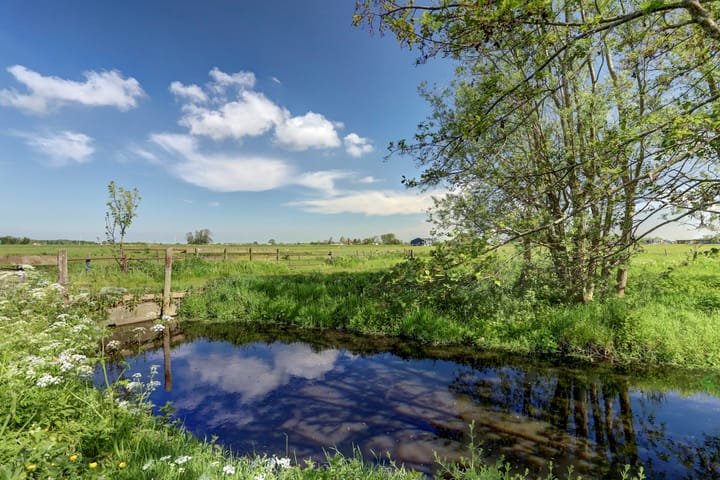 Foto 5 van Zijldijk 10