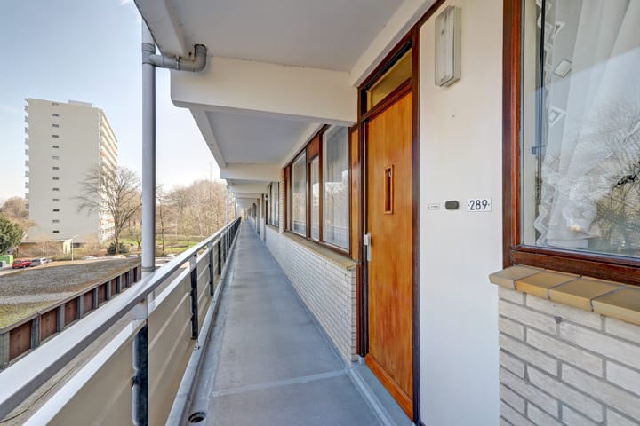 Foto 10 van Kloosplantsoen 289