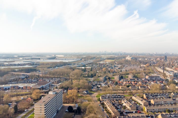 Foto 43 van Kloosplantsoen 289