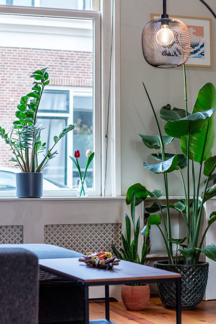 Foto 20 van Goedestraat 101