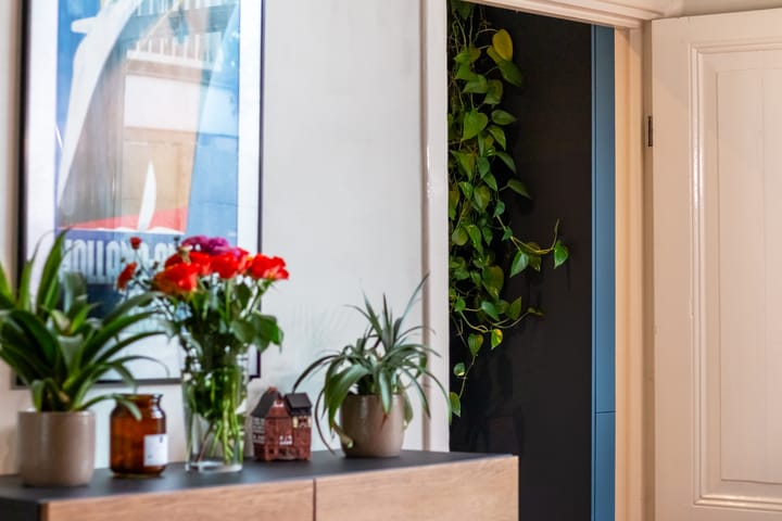 Foto 21 van Goedestraat 101