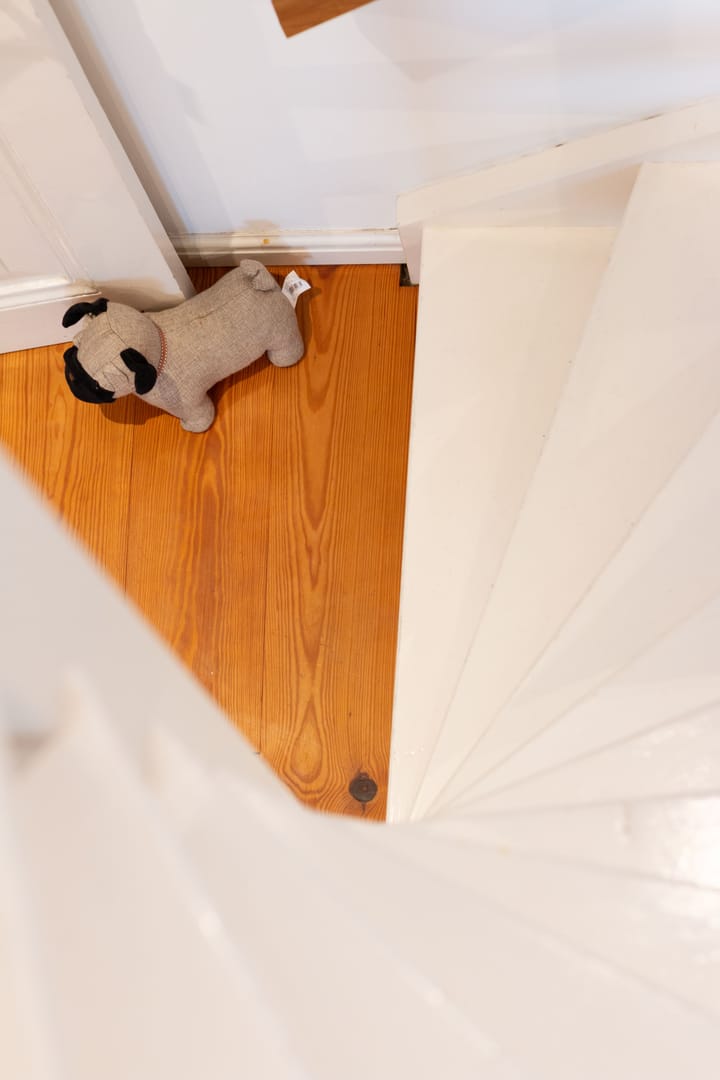 Foto 37 van Goedestraat 101