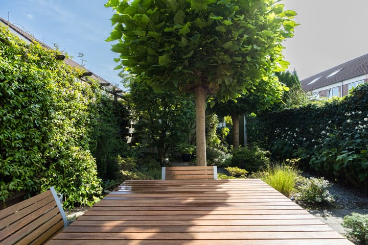 Foto 27 van Jacob Marisplein 7