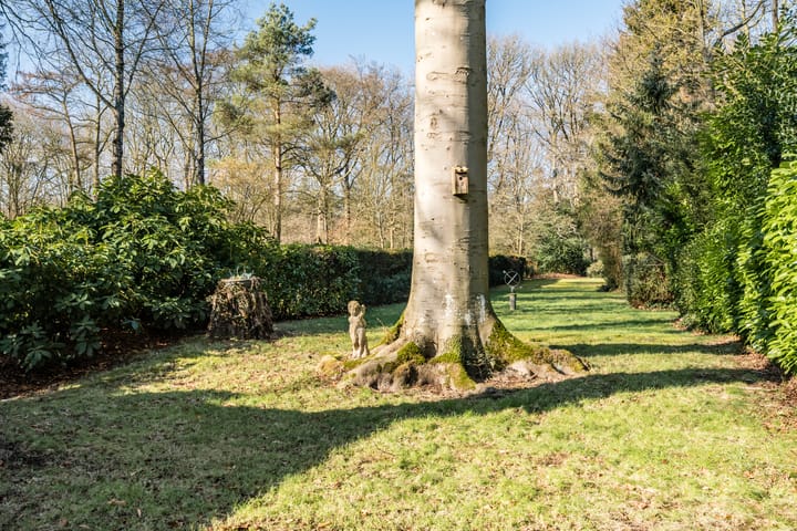 Foto 40 van Eikenhorstweg 2-C