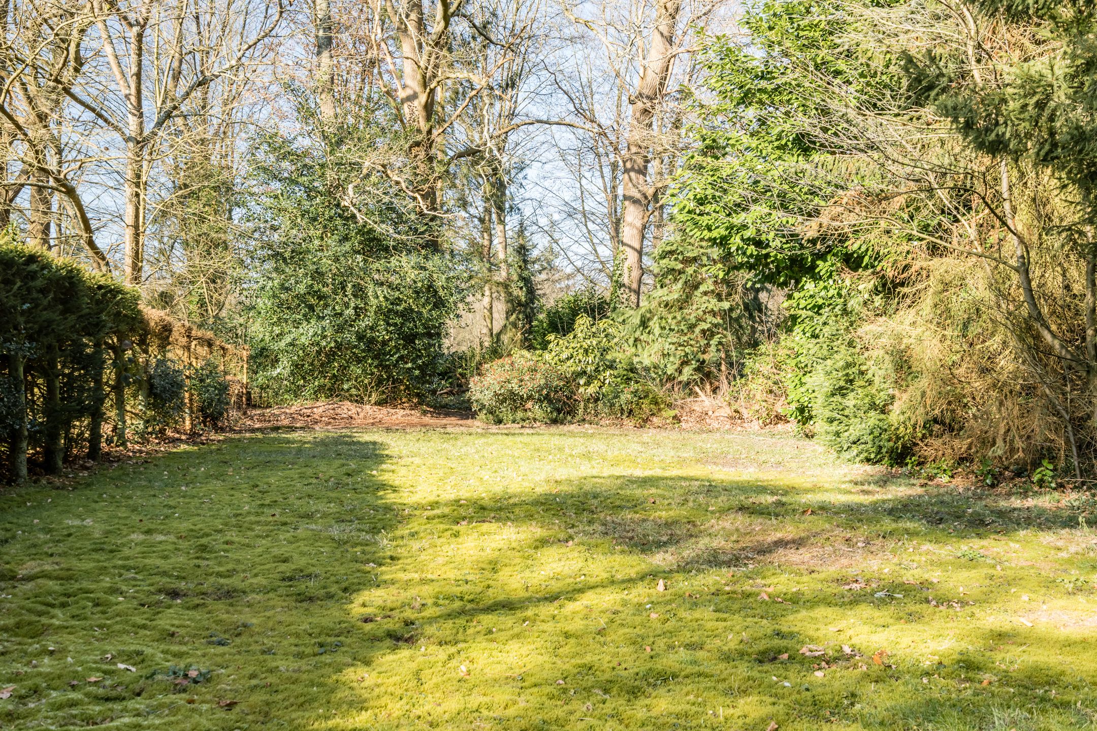 Photo 42 of Eikenhorstweg 2-C