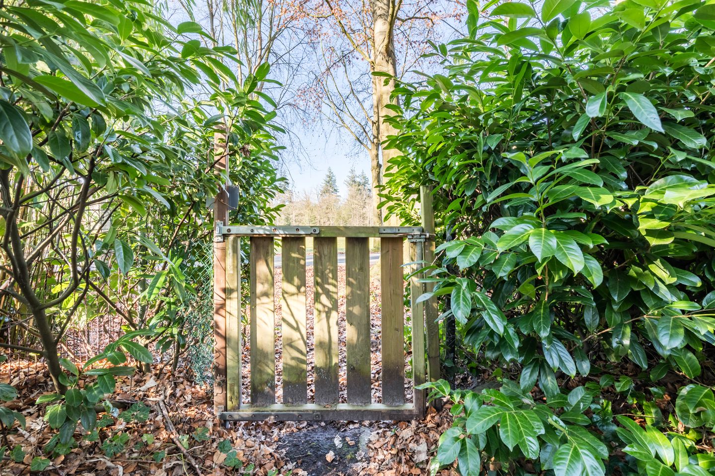 Photo 44 of Eikenhorstweg 2-C