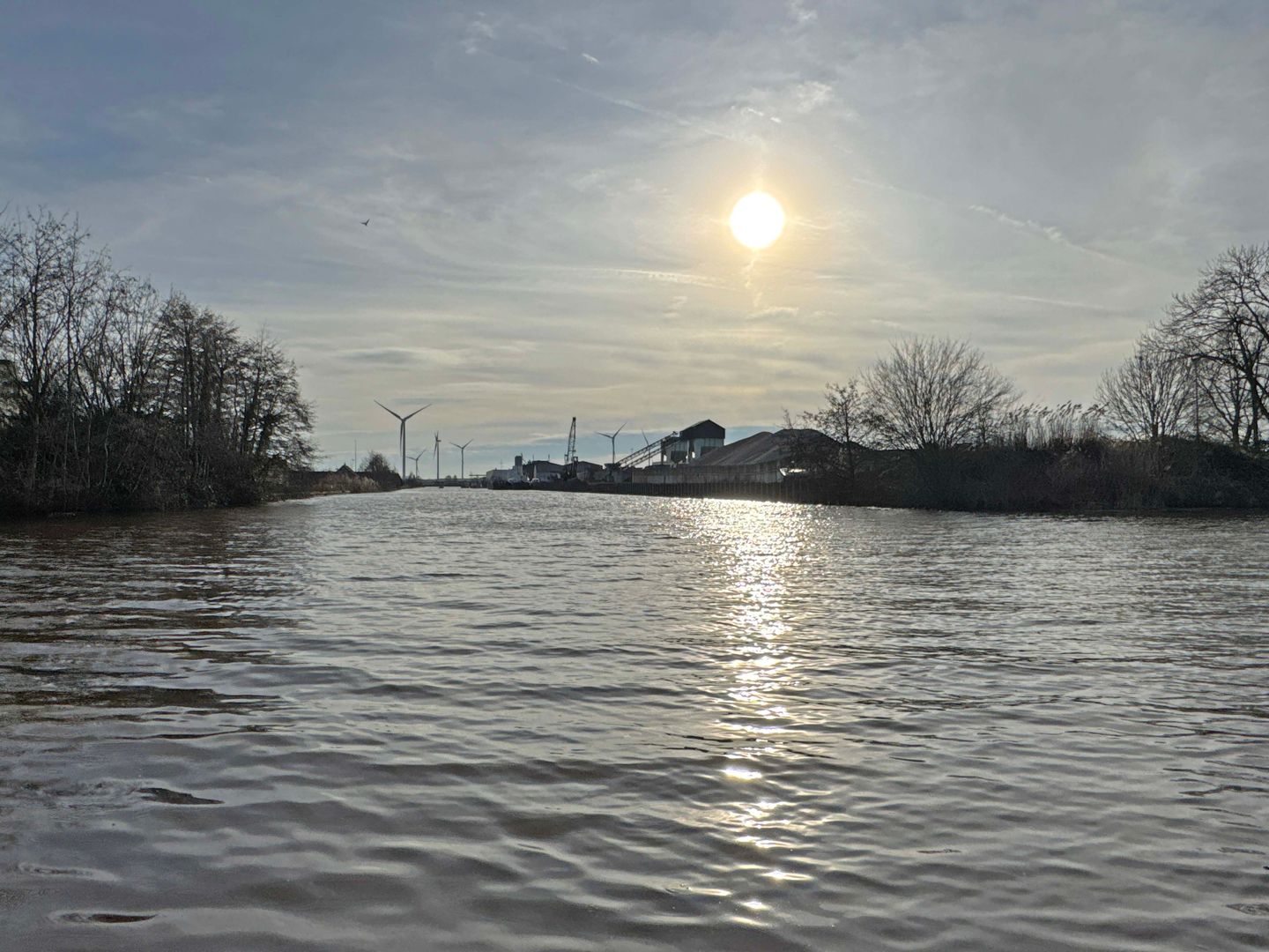 Foto 19 van Beukenlaan 54