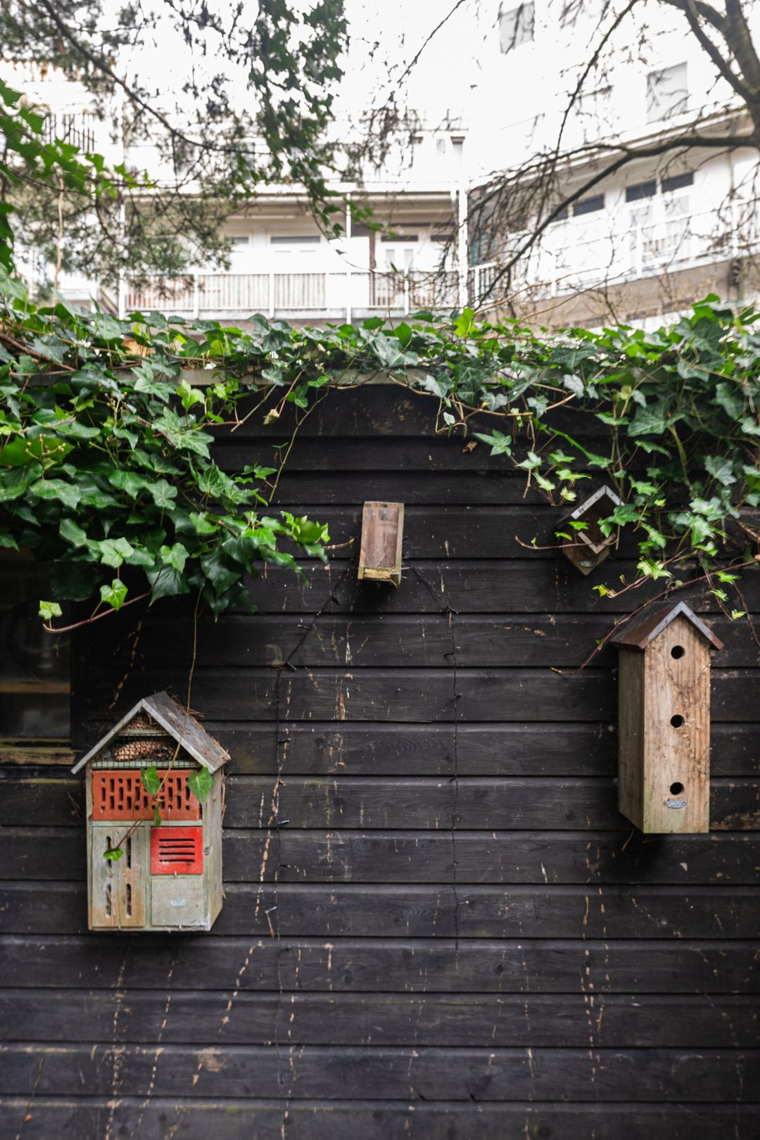 Foto 32 van Javaplantsoen 20-H