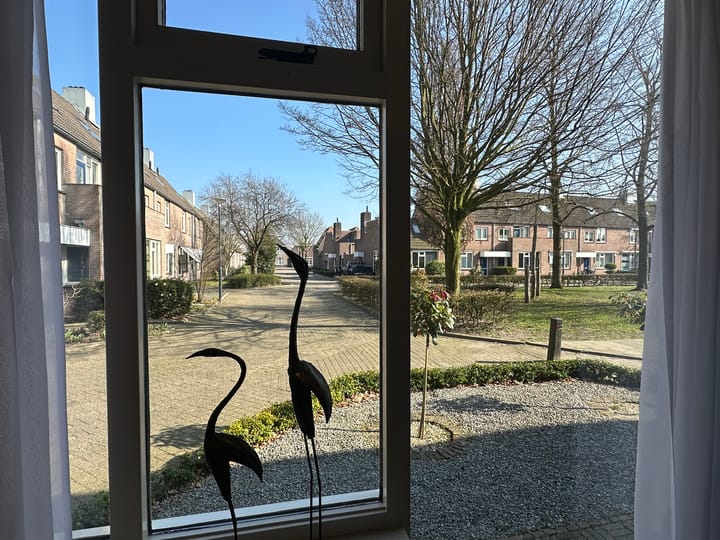 Foto 13 van Looierij 19