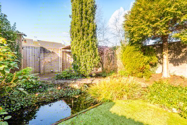 Foto 29 van Looierij 19