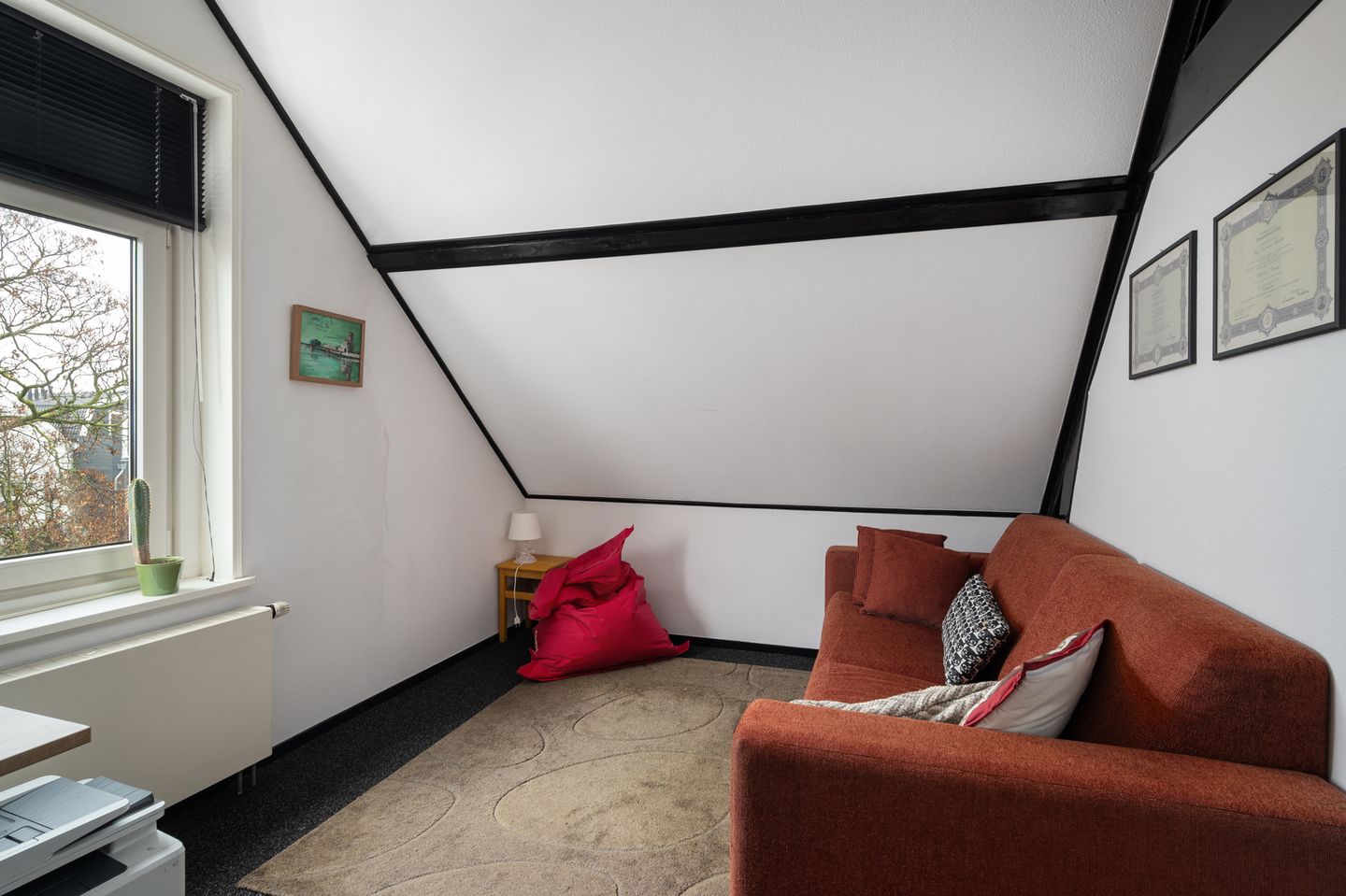 Foto 50 van Erasmusstraat 217