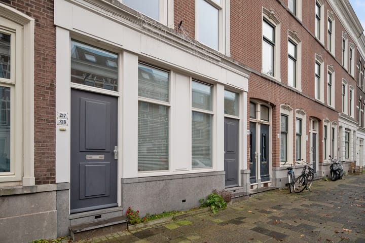 Foto 52 van Erasmusstraat 217