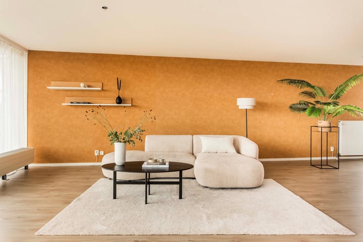 Foto 8 van Molenpolder 88