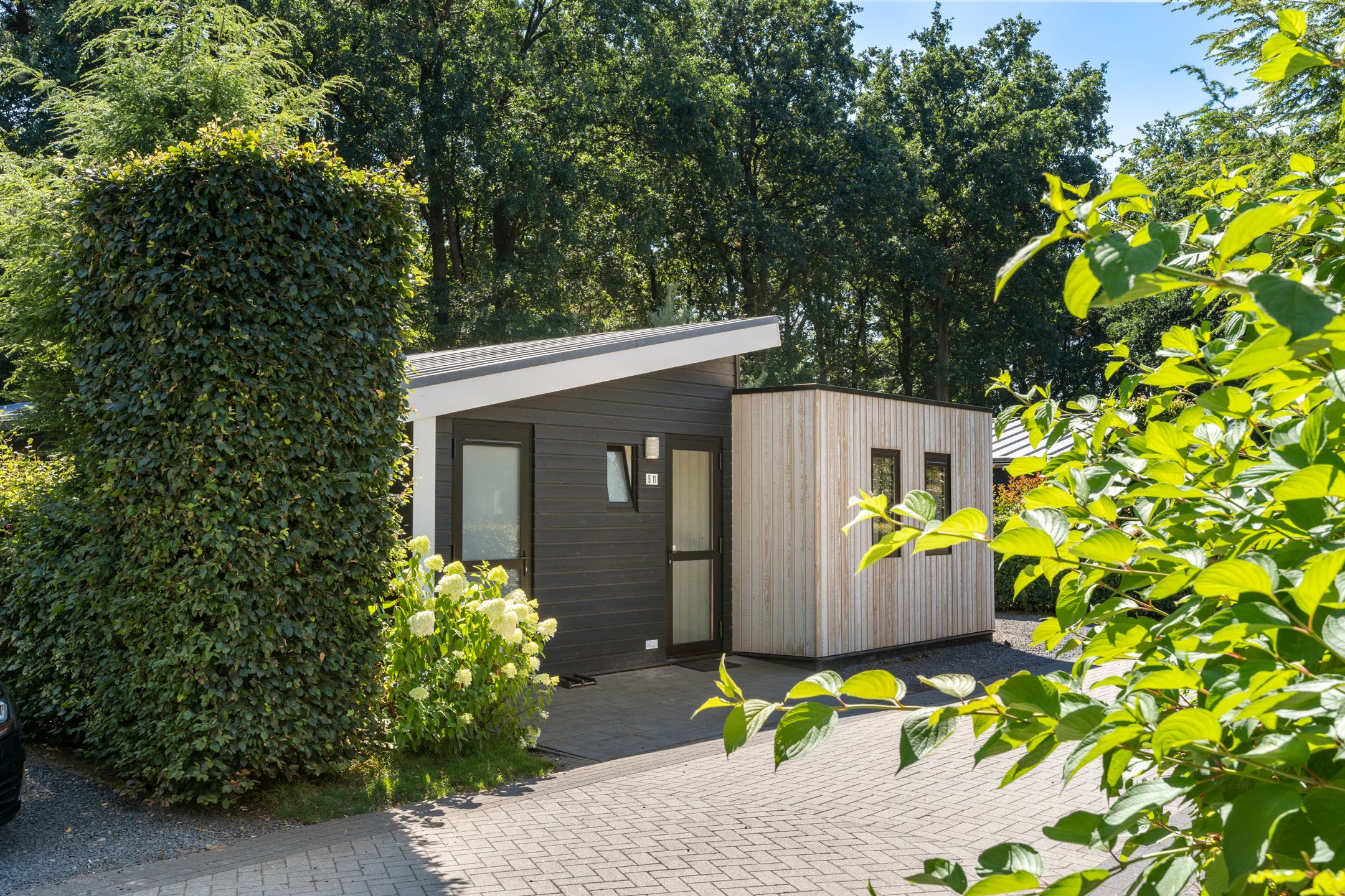 Foto 6 van Roekelseweg 48-B11