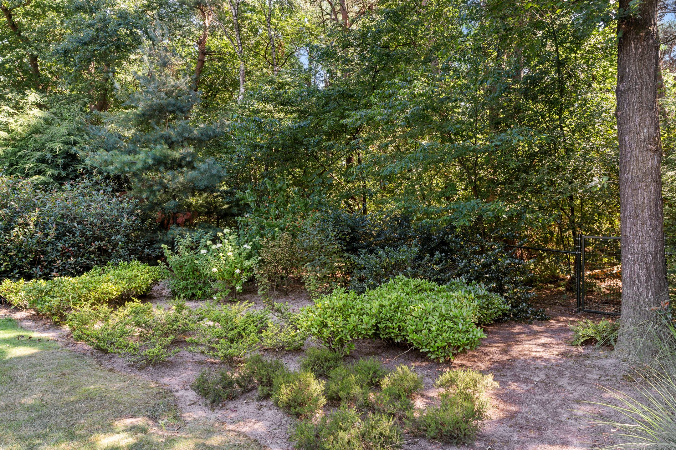 Foto 27 van Roekelseweg 48-B11