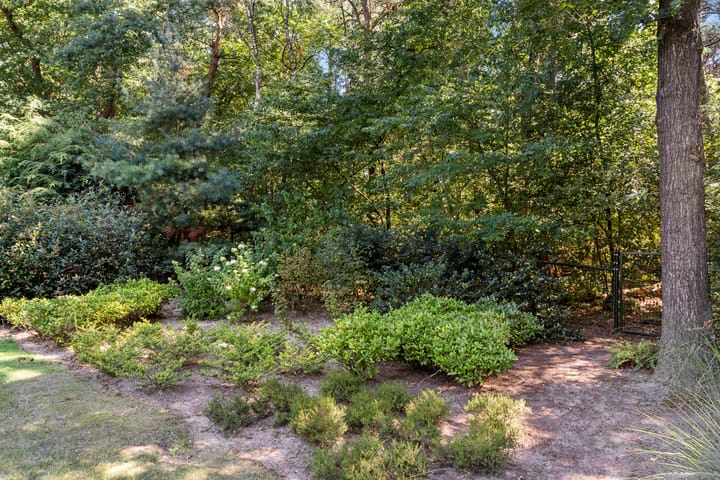 Photo 27 of Roekelseweg 48-B11