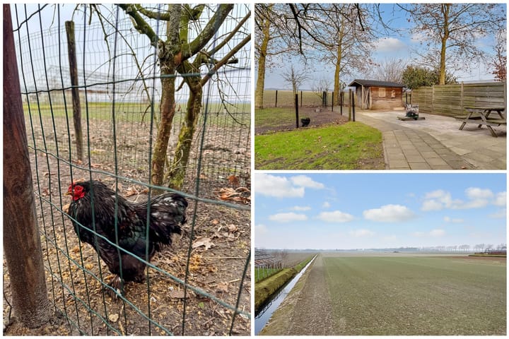 Foto 52 van Hoofdweg 1495